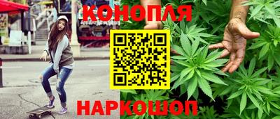 СК Обь