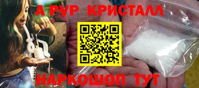 СК Обь