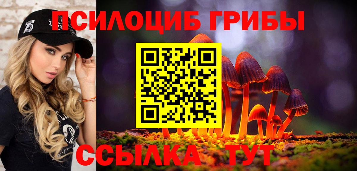 Псилоцибиновые грибы Psilocybe  Вход с VPN  Рассказово  Галлюциногенные грибы Cubensis 